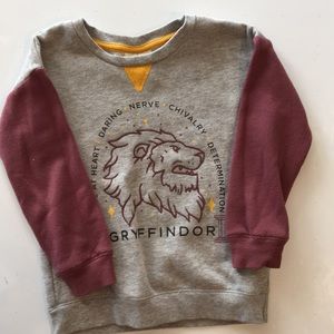 Toddler boy 3t Harry Potter sweatshirt